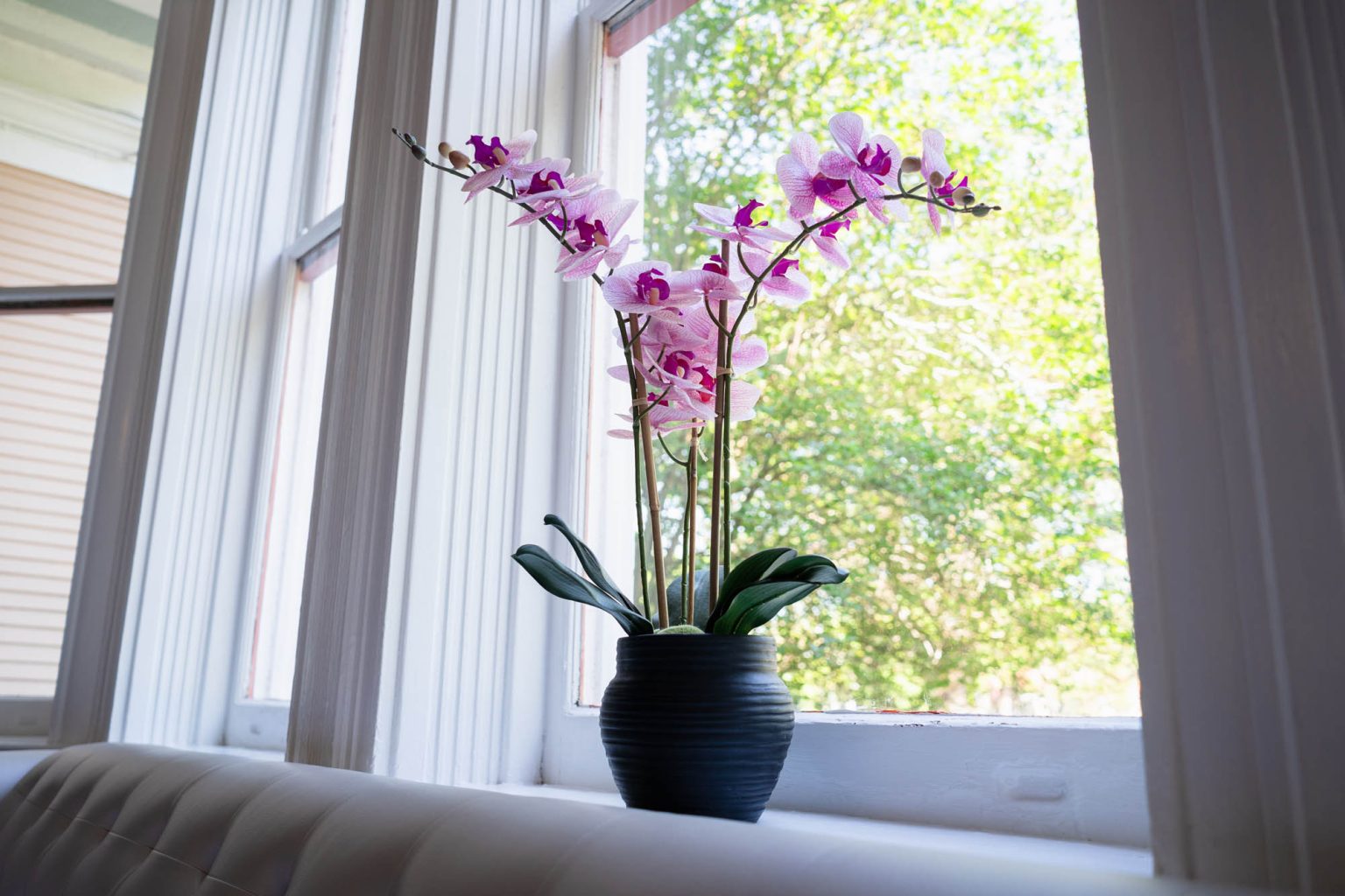 Flowers in pot on windowsill at hotel