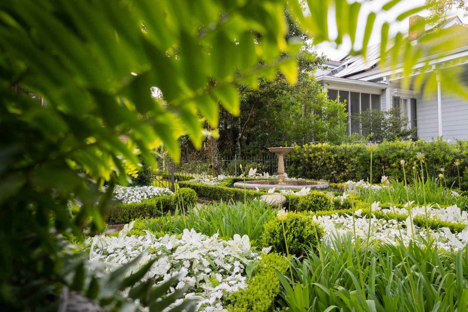 Garden at golden hour by Ponseti Landscaping