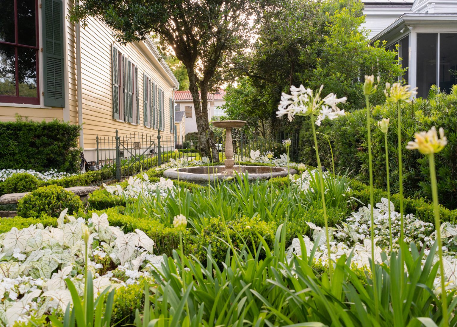 Landscaping in Uptown garden with fountain