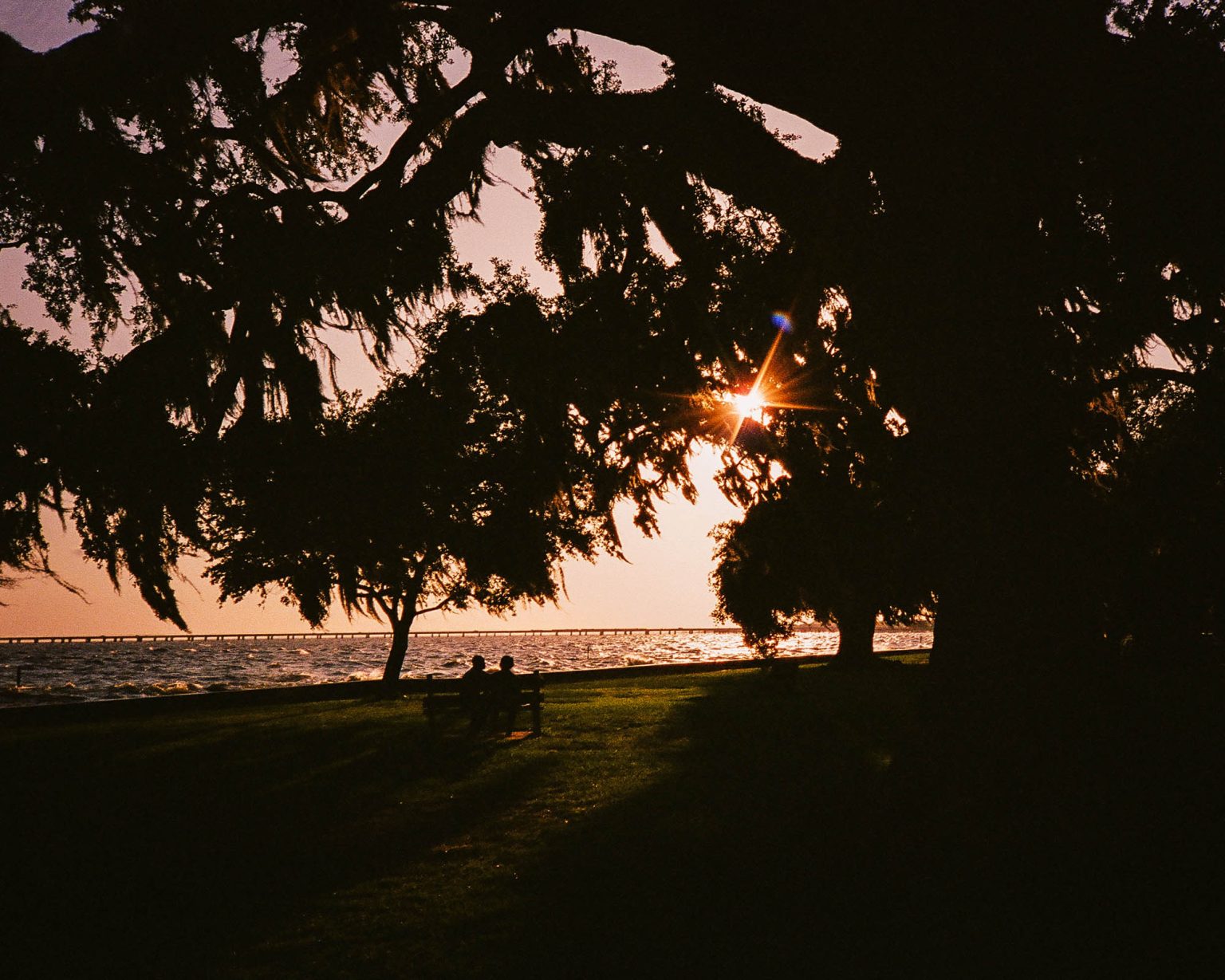 A couple sitting on a beach as the setting sun peaks through the oak trees at the Mandeville Lakefront in Louisiana