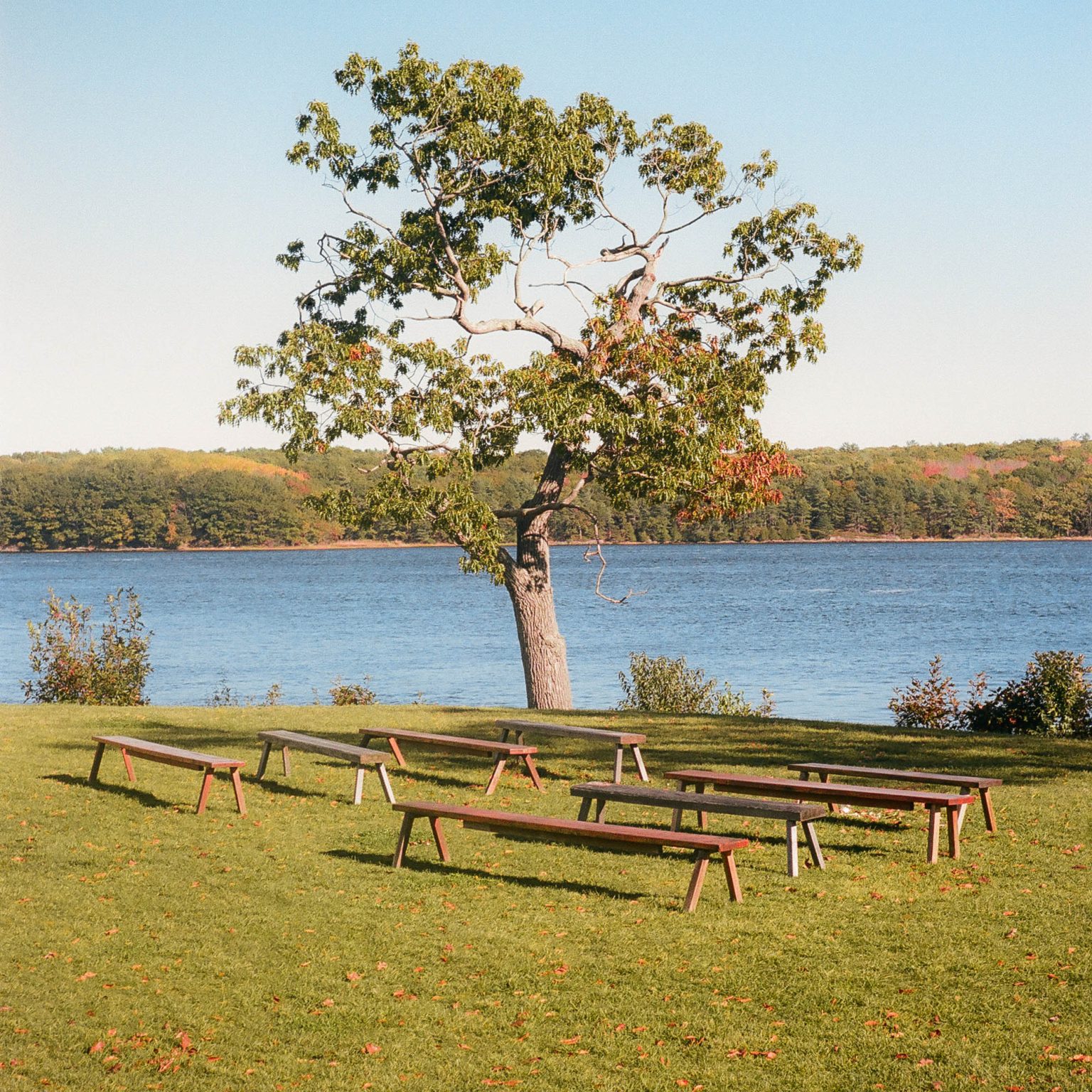 Tree leaves changing to fall color with benches around tree along waterway in Maine